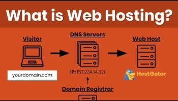 What Is Web Hosting? Beginners Guide To Domains, DNS Settings and Host Types